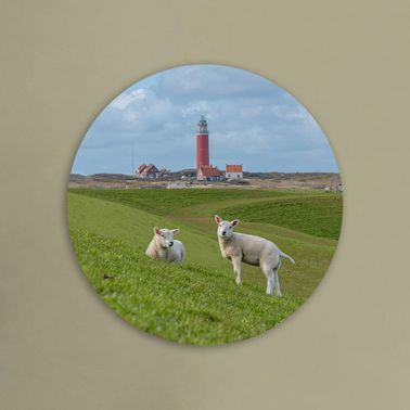 rond voorbeeld 141