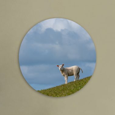 rond voorbeeld 142