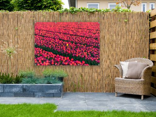 tuinposters 2018 579