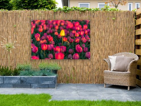 tuinposters 2018 580