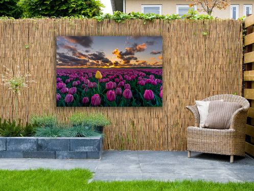 tuinposters 2018 581