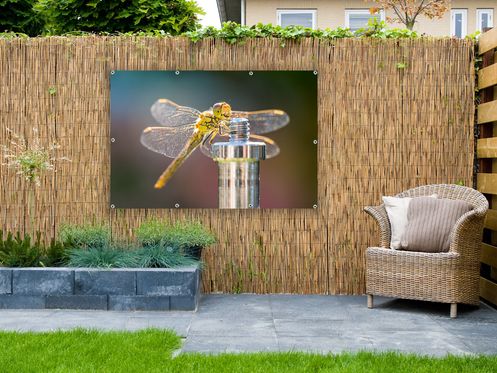 tuinposters 2018 594
