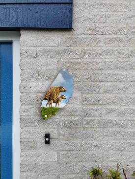 voorbeeld 11