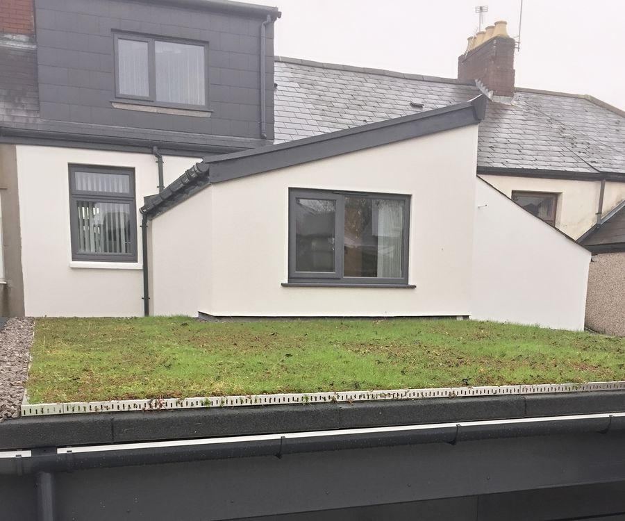 Single-storey rear extension with a green sedum roof