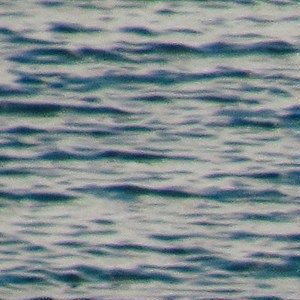 Identifikation von ESG-Risiken
