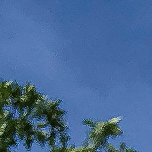 Identifikation vond Einsparpotenzialen und Emissionsreduktion