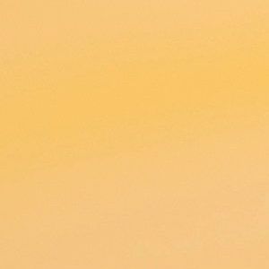 Risikobewertung und Priorisierung