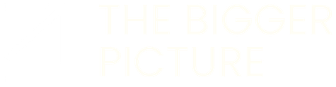 The Bigger Picture