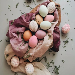 Lente Equinox 23 Maart