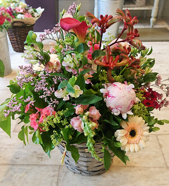 bouquet kangaroo