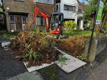 bamboo removal Surrey 2
