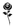The Black Rose