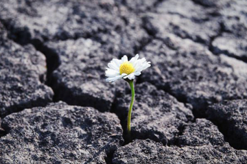 Moving on from divorce with strength and confidence