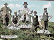 Cliff Egg Gatherers