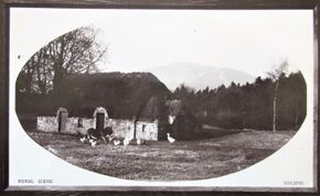 Golspie Rural Scene