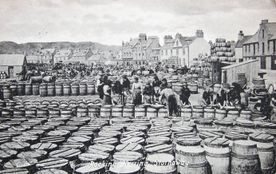 Packing Herring Stornoway