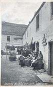 Shelling Mussels, Old Town, Stonehaven