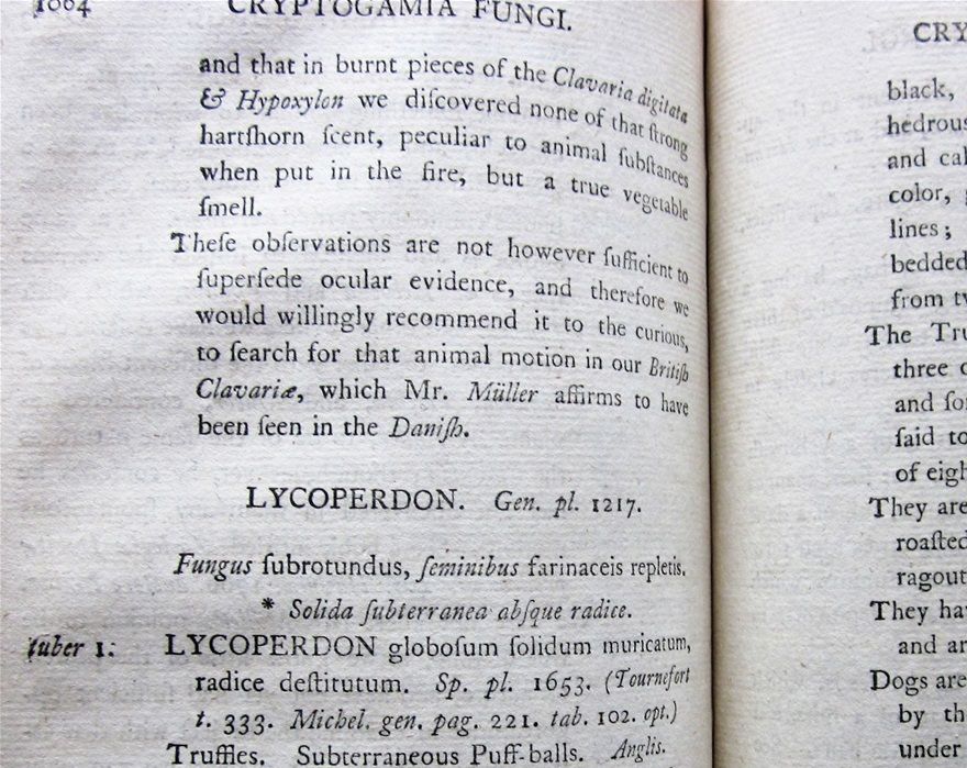 Entries relating to truffles in Lightfoot's Flora Scotica.