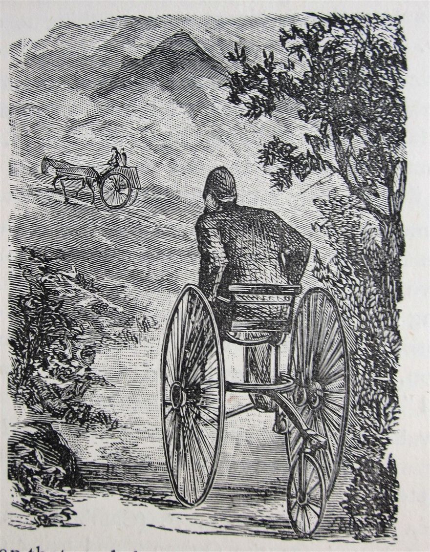 Racing the dog-cart.