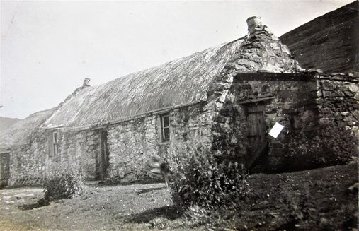 A neat, thatched house.