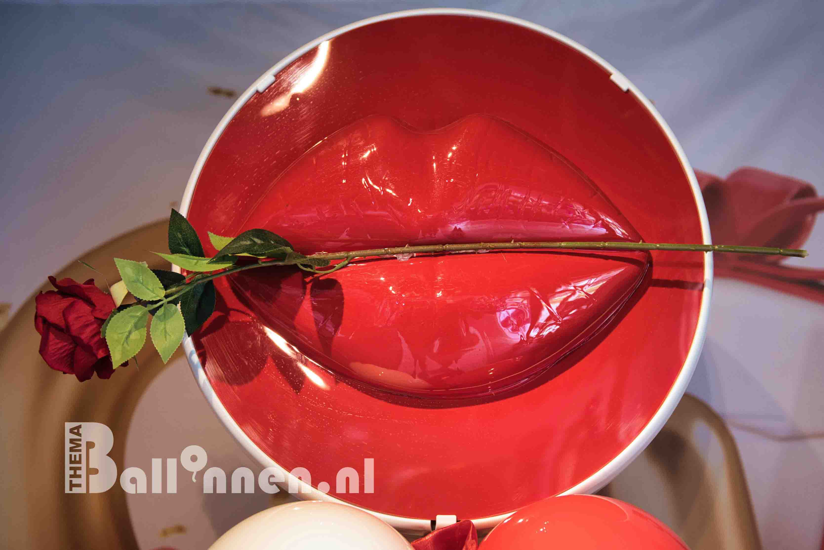 Themaballonnen_NL-537