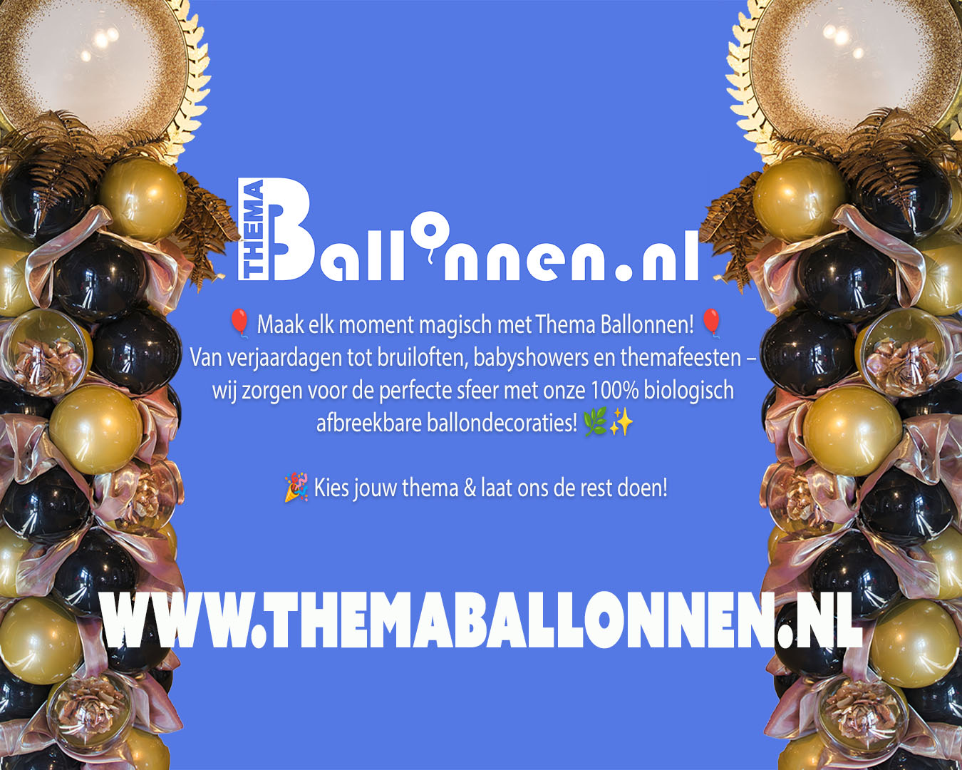 www.themaballonnen.nl