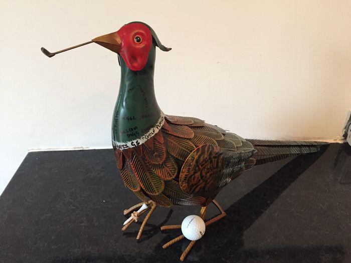 The Pheasants GS mascot.