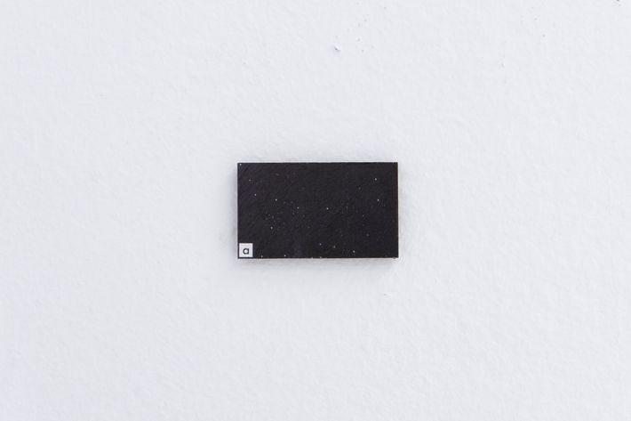 P1013935 3