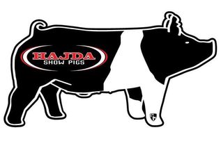Reserve Grand Champion - Hadja - in kind