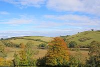 Devon landscape trees, fields and hills under blue sky