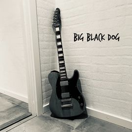 BIG BLACK DOG