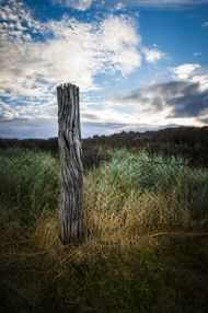 IMG_10502