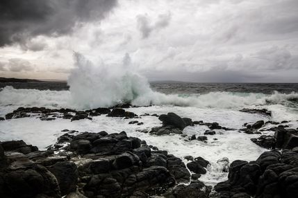 IMG_1538