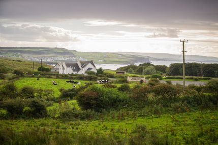 IMG_1624