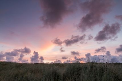 IMG_1784