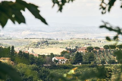 _MG_0335
