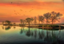 Jscillia_Goat Island Sunrise