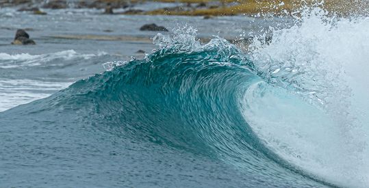 The Wave