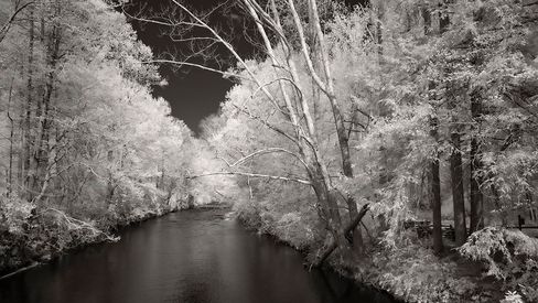 Pisguh Forest, NC
