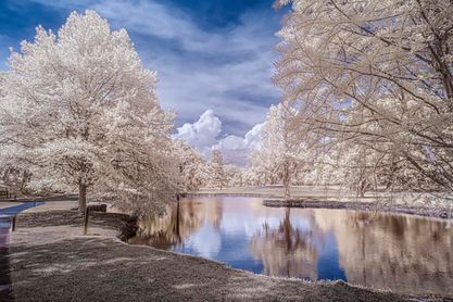 Reflections