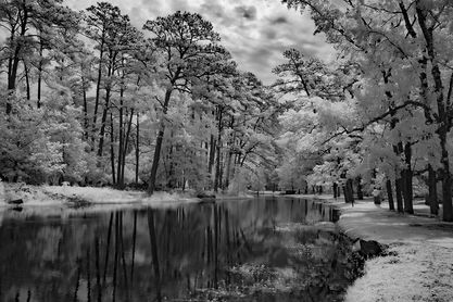 Lovely in IR