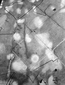 by your trace - 50,5x38,5 cm - charcoal on paper - 2024