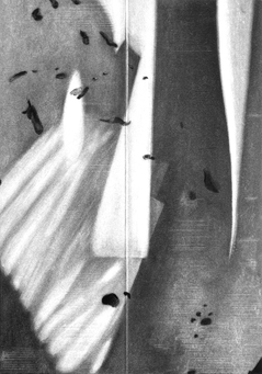 finders keepers - 59,5x41,5cm - charcoal on paper - 2023