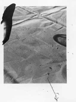 for all that remains - 70x51cm - charcoal on paper - 2025