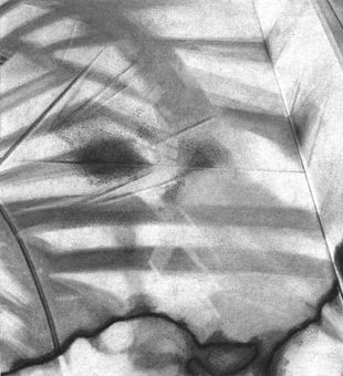 for seeing what takes shape - 30x32cm - charcoal on paper - 2025