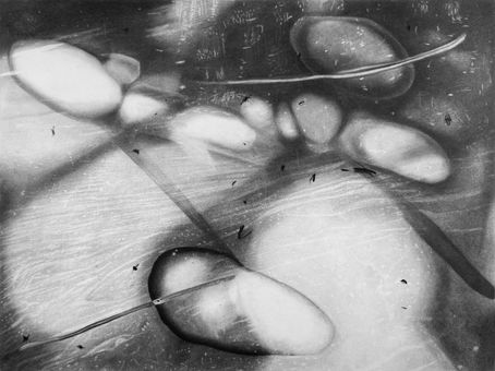 for those who move gently - 50x70 cm - charcoal on paper - 2025