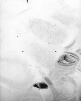 for those who would - 29x22,5cm - charcoal on paper - 2022