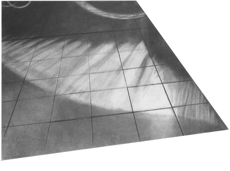 partezium - 85x58cm - charcoal on paper - 2019