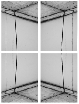 quadtych - 4x60x45cm - prints - 2014