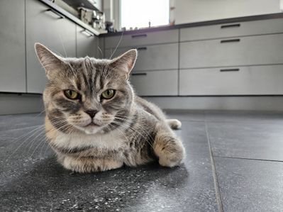 Emmi